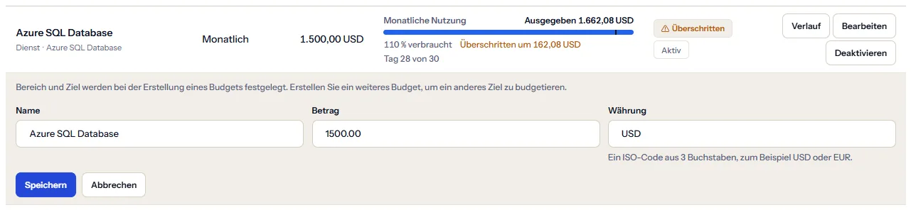 Eine Budgetzeile in Bearbeitung: der Hinweis, dass Bereich und Ziel feststehen, die Felder für Name, Betrag und Währung sowie die Schaltflächen zum Speichern und Abbrechen.