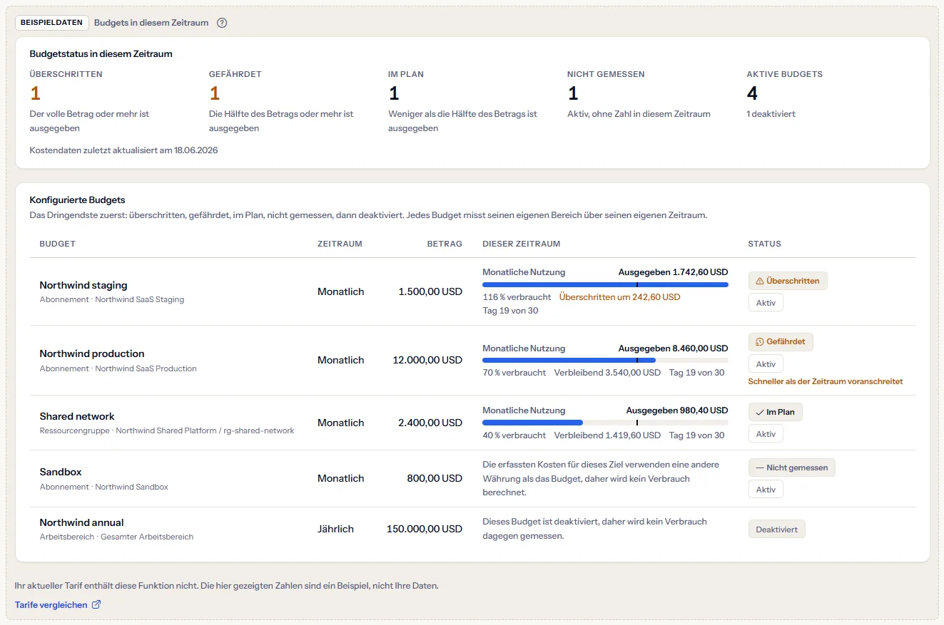 Das Budgets-Beispiel unter einer sichtbaren Kennzeichnung als Beispieldaten: die Zusammenfassung und fünf Beispielbudgets mit Nutzung und Stufe, ein Satz, dass der Tarif die Funktion nicht enthält, und ein Link zum Vergleichen der Tarife.