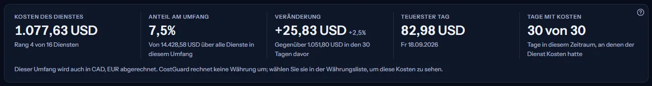 Die fünf Zahlen von Virtual Machines für die letzten 30 Tage: Kosten und Rang, Anteil am Umfang, Veränderung gegenüber den 30 Tagen davor, teuerster Tag und Tage mit Kosten.