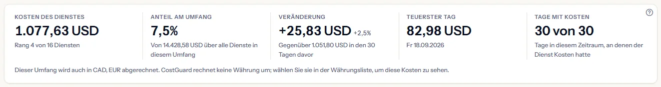Die fünf Zahlen von Virtual Machines für die letzten 30 Tage: Kosten und Rang, Anteil am Umfang, Veränderung gegenüber den 30 Tagen davor, teuerster Tag und Tage mit Kosten.
