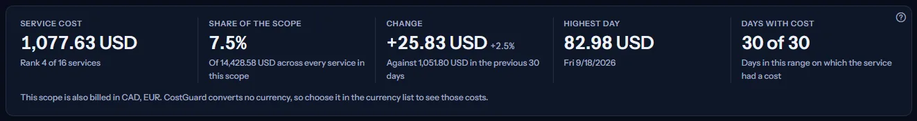 The five figures of Virtual Machines for the last 30 days: its cost and rank, its share of the scope, the change against the 30 days before, its highest day and its days with cost.
