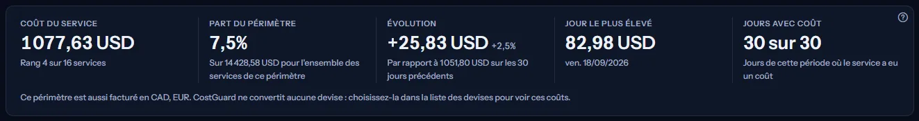 Les cinq chiffres de Virtual Machines sur les 30 derniers jours : son coût et son rang, sa part du périmètre, l'évolution par rapport aux 30 jours précédents, son jour le plus élevé et ses jours avec coût.