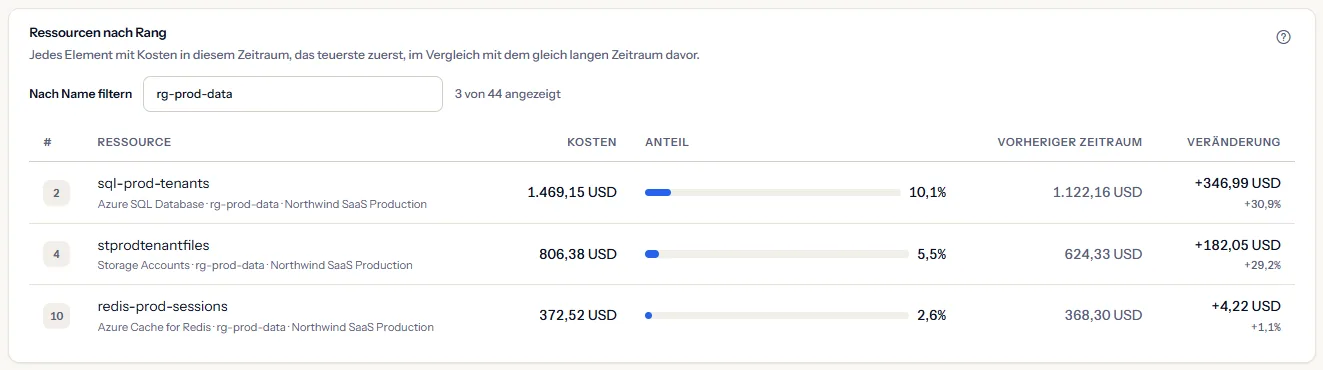 Die Ressourcenliste mit einem eingegebenen Filter: neben dem Feld die Zahl der angezeigten Elemente, darunter die passenden Zeilen, jede mit ihrem Rang in der ganzen Liste.