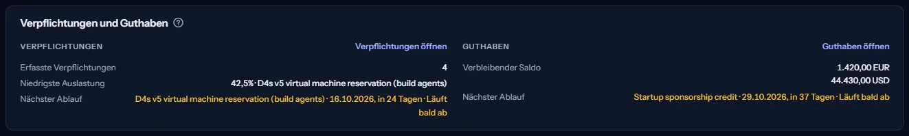Der Abschnitt Verpflichtungen und Guthaben: auf der einen Seite die Zahl der Verpflichtungen, die niedrigste Auslastung und der nächste Ablauf, auf der anderen der verbleibende Guthabensaldo je Währung und sein nächster Ablauf.