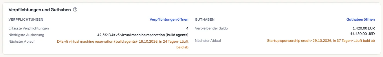 Der Abschnitt Verpflichtungen und Guthaben: auf der einen Seite die Zahl der Verpflichtungen, die niedrigste Auslastung und der nächste Ablauf, auf der anderen der verbleibende Guthabensaldo je Währung und sein nächster Ablauf.