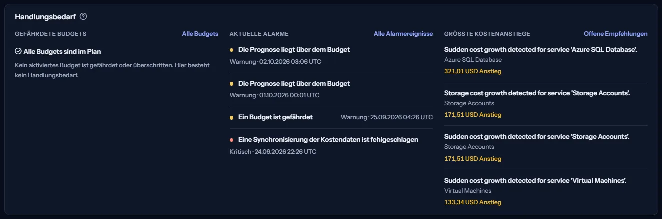 Der Abschnitt Handlungsbedarf mit drei Listen: gefährdete Budgets, die in Worten sagen, wenn keines gefährdet ist, aktuelle Alarme mit ihrem Schweregrad und die größten Kostenanstiege mit dem Betrag jedes Anstiegs.