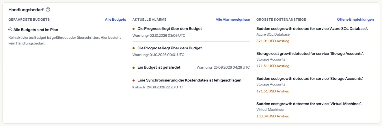 Der Abschnitt Handlungsbedarf mit drei Listen: gefährdete Budgets, die in Worten sagen, wenn keines gefährdet ist, aktuelle Alarme mit ihrem Schweregrad und die größten Kostenanstiege mit dem Betrag jedes Anstiegs.