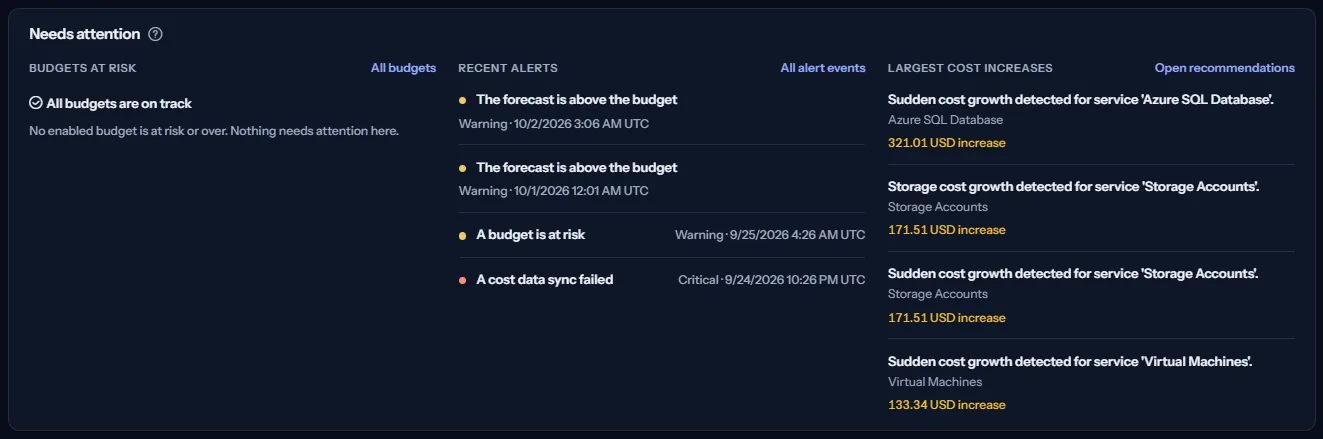 The needs attention panel with three lists: budgets at risk, which says in words when none is at risk, recent alerts with their severity, and the largest cost increases with the amount of each increase.