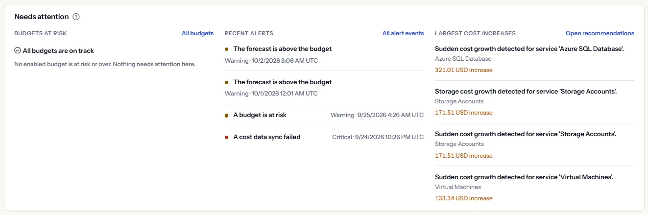The needs attention panel with three lists: budgets at risk, which says in words when none is at risk, recent alerts with their severity, and the largest cost increases with the amount of each increase.