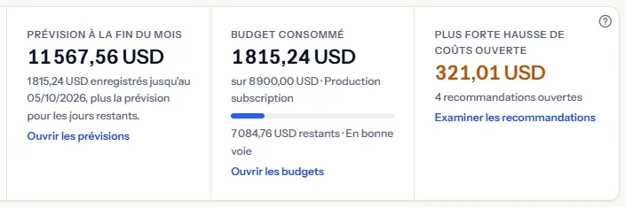 Trois vignettes : la prévision à la fin du mois avec la part enregistrée indiquée en dessous, le budget consommé avec une barre et une étiquette de risque, et la plus forte hausse de coûts ouverte avec le nombre de recommandations ouvertes.