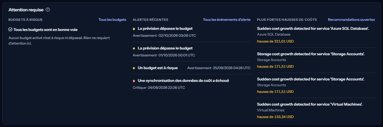 Le panneau d'attention requise avec trois listes : les budgets à risque, qui indique en toutes lettres quand aucun ne l'est, les alertes récentes avec leur gravité, et les plus fortes hausses de coûts avec le montant de chaque hausse.
