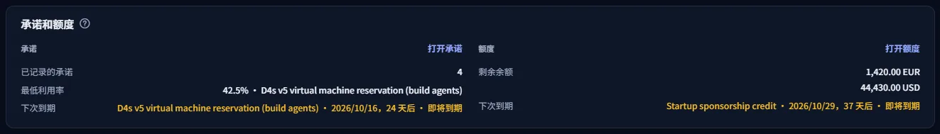 承诺和额度面板：一侧是承诺数量、最低利用率和下次到期时间，另一侧是每种货币的剩余额度余额及其下次到期时间。