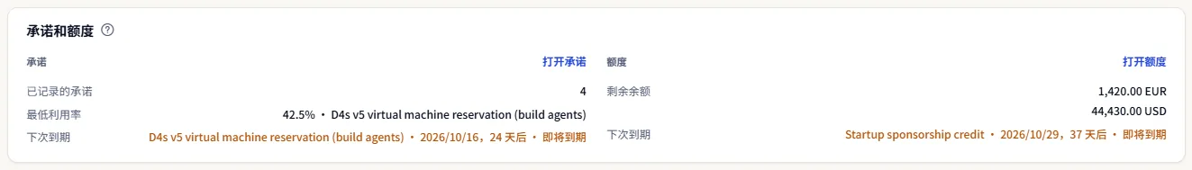 承诺和额度面板：一侧是承诺数量、最低利用率和下次到期时间，另一侧是每种货币的剩余额度余额及其下次到期时间。