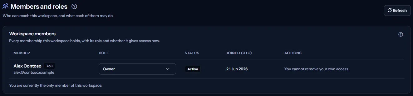 The Members and roles page: the list of workspace members with the role, the access status and the day each one joined.