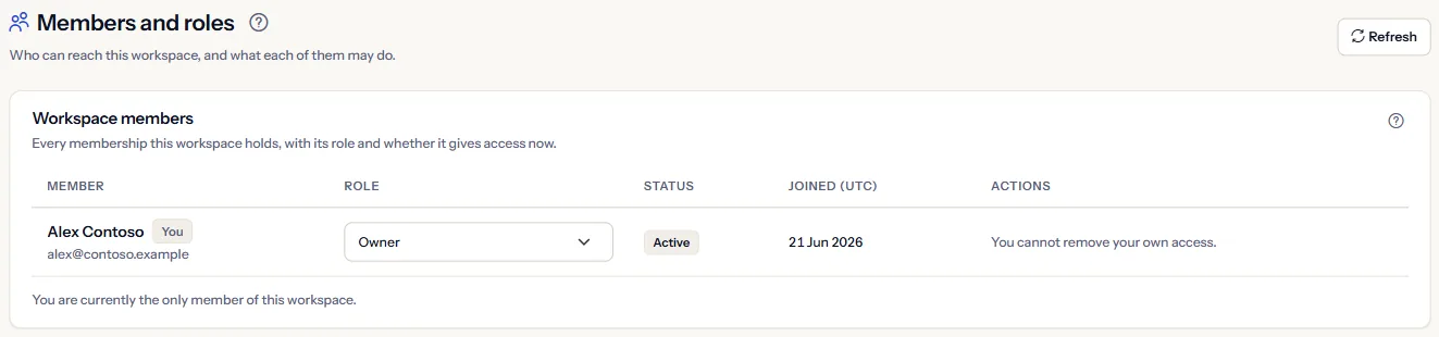 The Members and roles page: the list of workspace members with the role, the access status and the day each one joined.